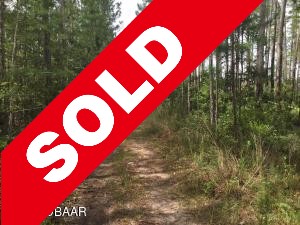 SOLD! 10 acres in rural New Smyrna Beach – be away from it all!