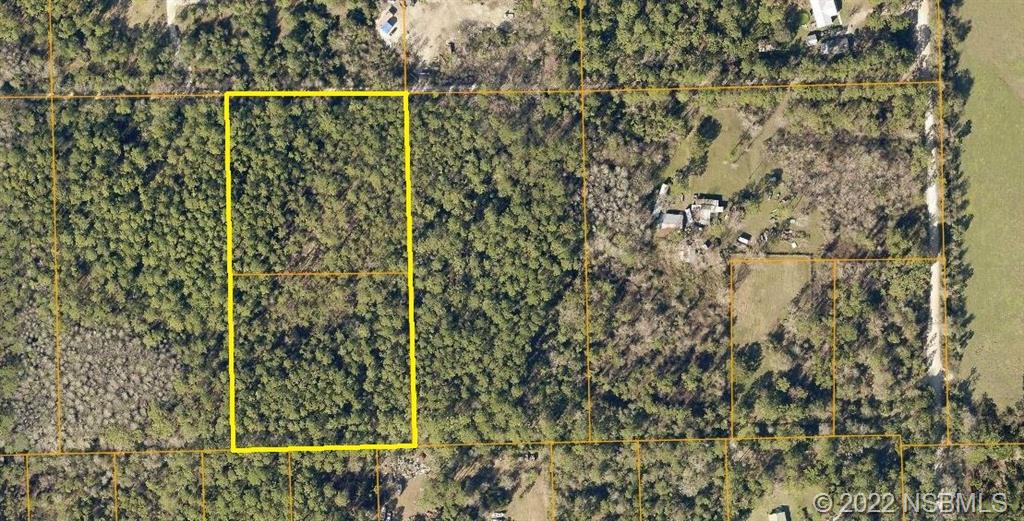 Secluded! 5 acres in New Smyrna Beach!